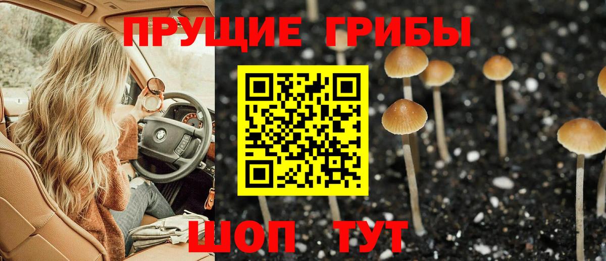 Галлюциногенные грибы MAGIC MUSHROOMS Бийск